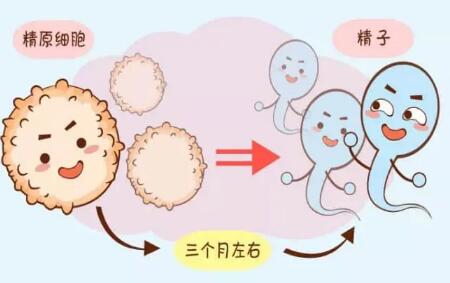 泰国试管婴儿移植注意问题！（第三代试管费用明细表）